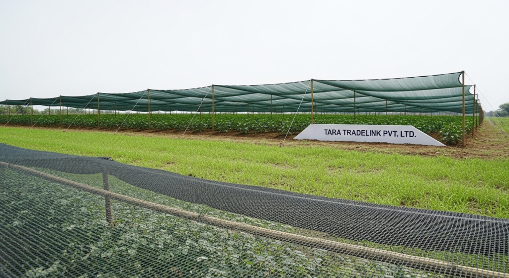 Shade Net Manufacturer in India